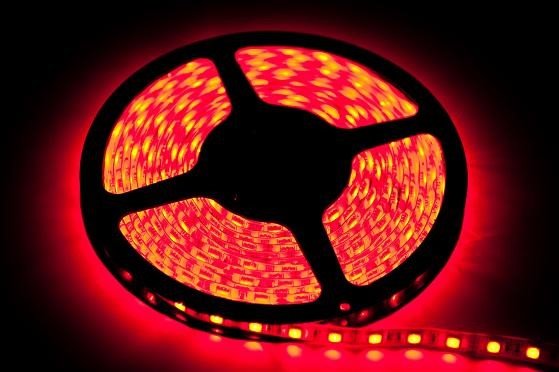TAŚMA 60 LED 24W. Barwa Czerwony. IP20. (5 metrów) - obrazek 3
